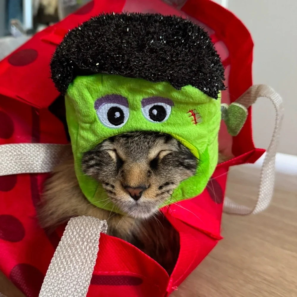 Frankenstein Cat Hat